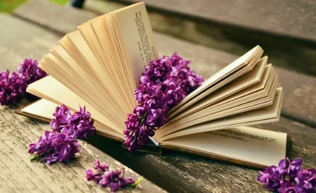 Journal